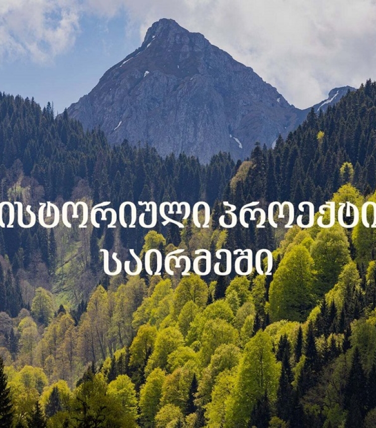 როგორი იქნება ეკოსისტემა, რომელიც „საირმეს რეკრეაციულ ფერმაში“ ცხოველების პოპულაციის გამრავლებისთვის იქმნება