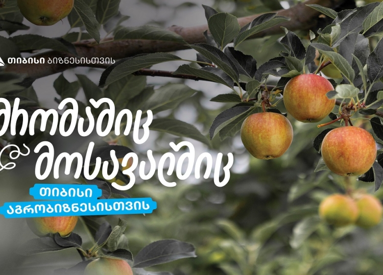 თიბისი აგრობიზნესისთვის - „ჭარებულას“ ვაშლის ბაღები ქართლში