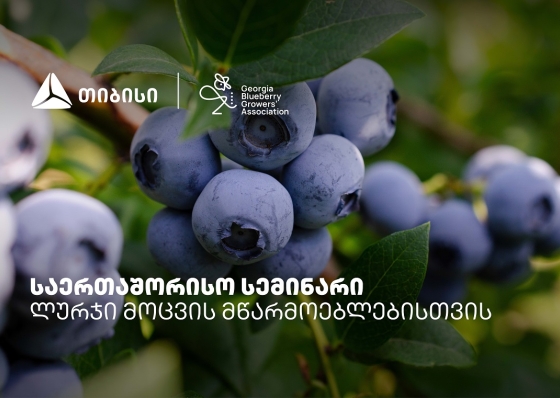 თიბისის მხარდაჭერით, ლურჯი მოცვის მწარმოებლებისთვის საერთაშორისო სემინარი გაიმართა