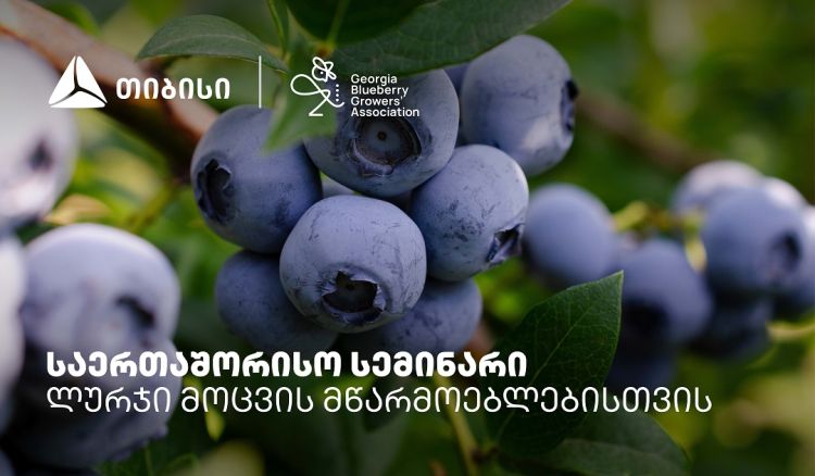 თიბისის მხარდაჭერით, ლურჯი მოცვის მწარმოებლებისთვის საერთაშორისო სემინარი გაიმართა