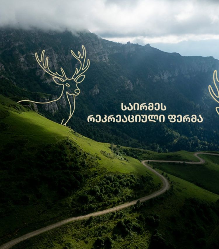 „საირმეს რეკრეაციული ფერმა“ – 1 წელში ინვესტირებული 900 000 ლარი და სამომავლო გეგმები