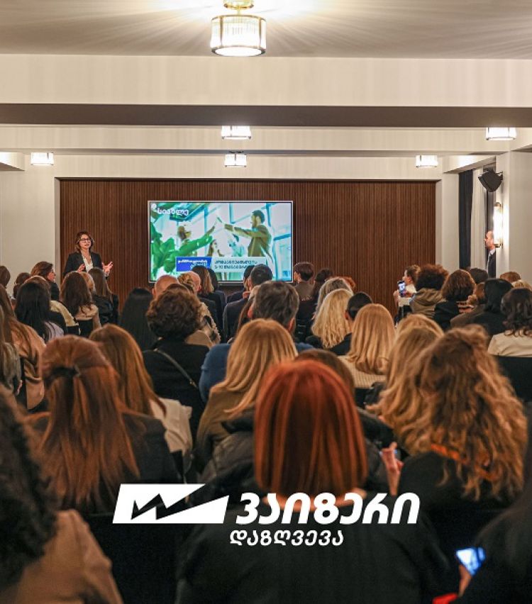 “ვაიზერმა” ტურისტულ სექტორს სამოგზაურო პოლისების ახალი პლატფორმა წარუდგინა