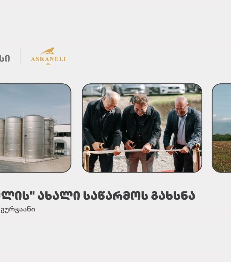 თიბისის მხარდაჭერით, ბაკურციხეში “ასკანელის” ქარხანა გაიხსნა