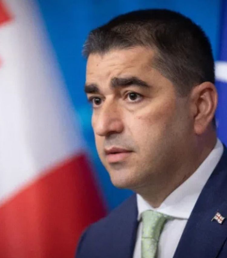 პაპუაშვილი: გაცხადდა, რომ ამ დაჯგუფების მიზანი არის ადგილობრივი თვითმმართველობის არჩევნების ჩაშლა