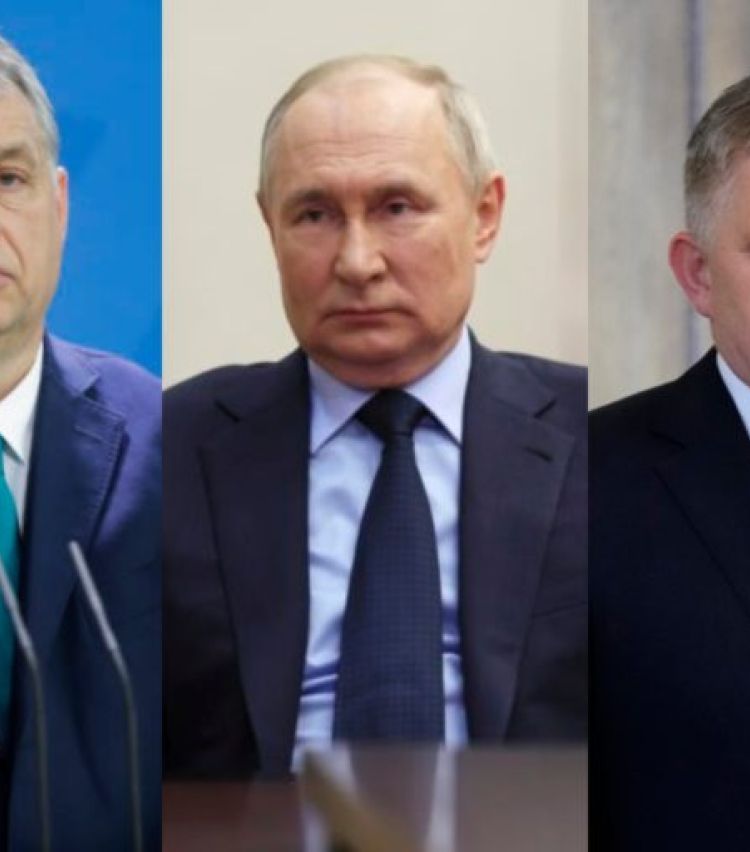 "რუსეთი გააგრძელებს ნავთობისა და გაზის მიწოდებას იმ ქვეყნებისთვის, რომლებიც საიმედო მყიდველებად რჩებიან, მათ შორისაა სლოვაკეთი და უნგრეთი"