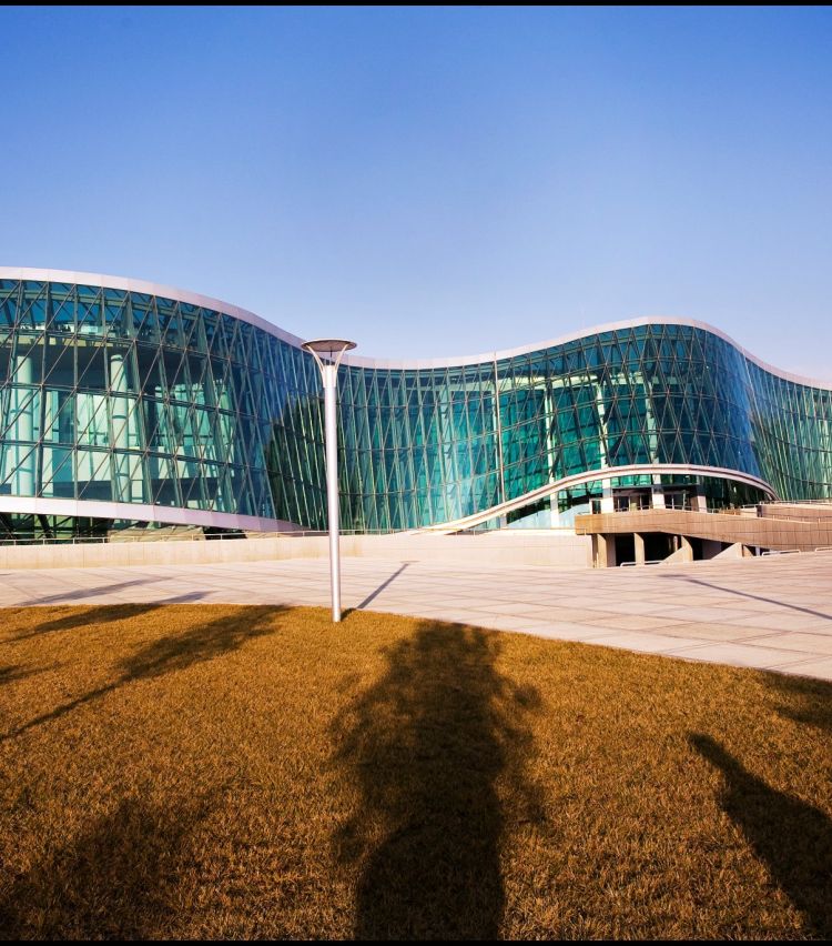 გამოძიება სსკ-ის 260-ე და 260-ე კვარტა მუხლებით მიმდინარეობს, რაც 20 წლამდე ან უვადო თავისუფლების აღკვეთას ითვალისწინებს - შსს