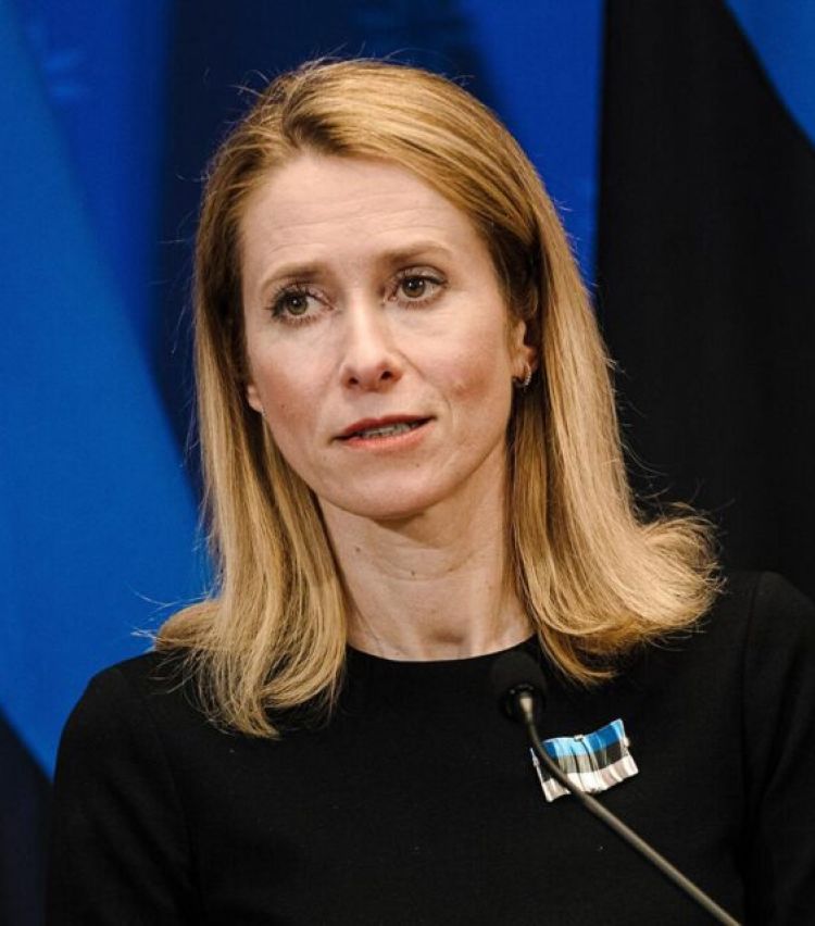 "ვხედავთ მთავრობის მიერ არასწორი მიმართულებით გადადგმულ ნაბიჯებს" - კალასი