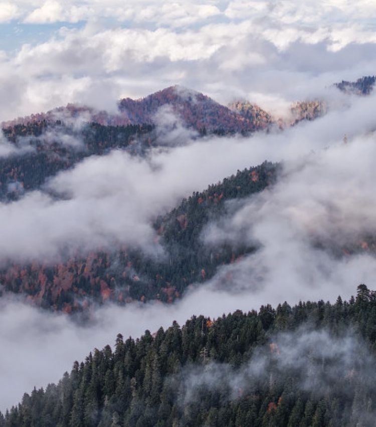 „საირმეს რეკრეაციული ფერმა“ ნიკა ლებანიძის ობიექტივში
