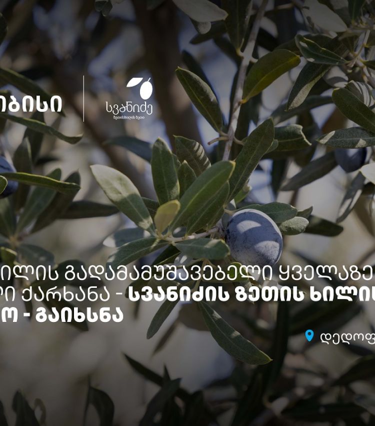 თიბისის მხარდაჭერით, დედოფლისწყაროში „სვანიძის ზეთისხილის“ საწარმო გაიხსნა