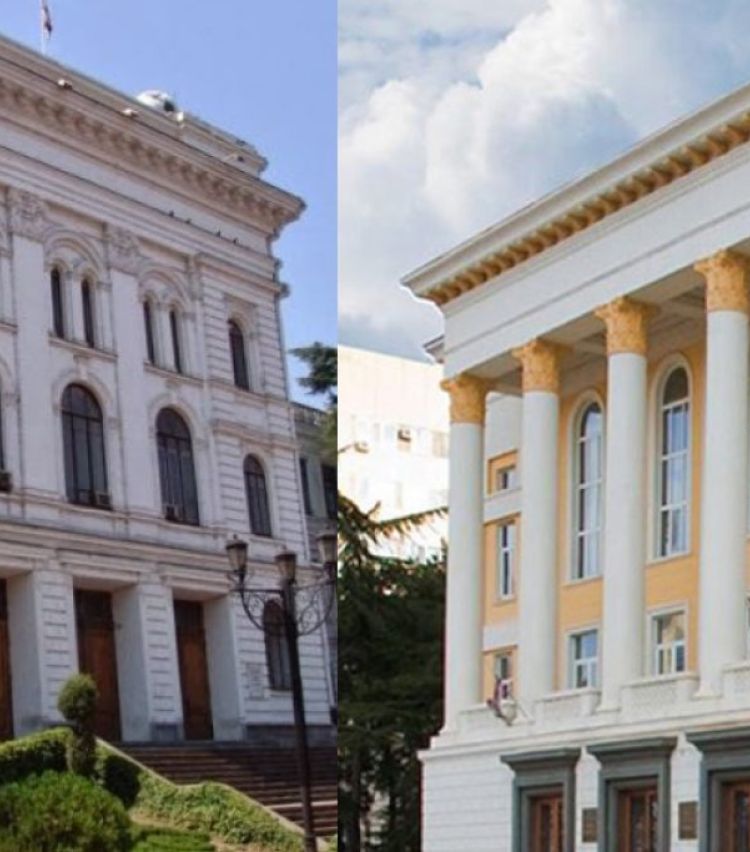 "სინამდვილეში, დღეს ვაბრუნებთ იმ იდეას, რომელიც ივანე ჯავახიშვილს ჰქონდა ერთი დიდი ქართული უნივერსიტეტის გარშემო"