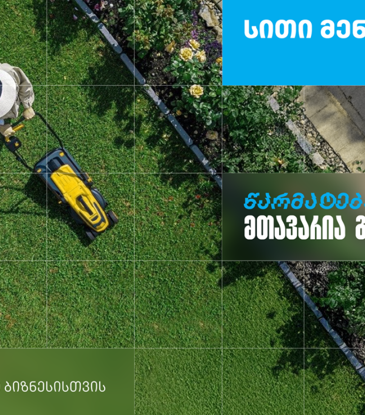 ,,სითი მენეჯმენტ გრუპი’’ - დასუფთავების კომპანია, რომელიც თიბისი ბიზნესის მხარდაჭერით განვითარდა