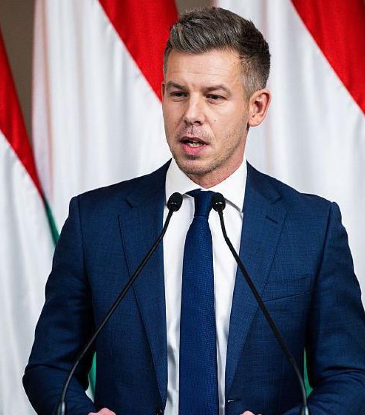 "არ ვაპირებ, რომ გავლენა მოვახდინო თქვენი ქვეყნის არჩევნებზე" - მადიარი საქართველოზე