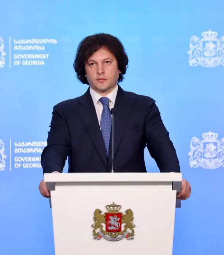 "საქართველოში აშენდება არა ორი არაბული ქალაქი, არამედ შეიქმნება ორი ულამაზესი ქართული, ევროპული ტიპის განაშენიანების სივრცე"