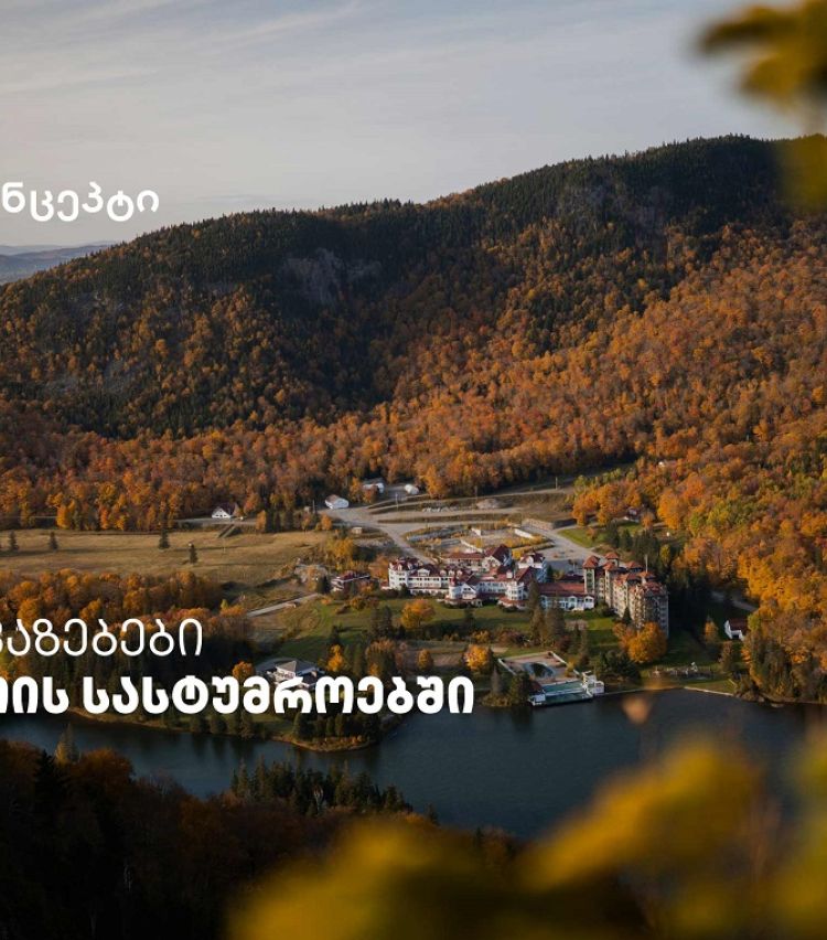 თიბისი კონცეპტის მრავალფეროვანი შეთავაზებები კახეთის სასტუმროებში