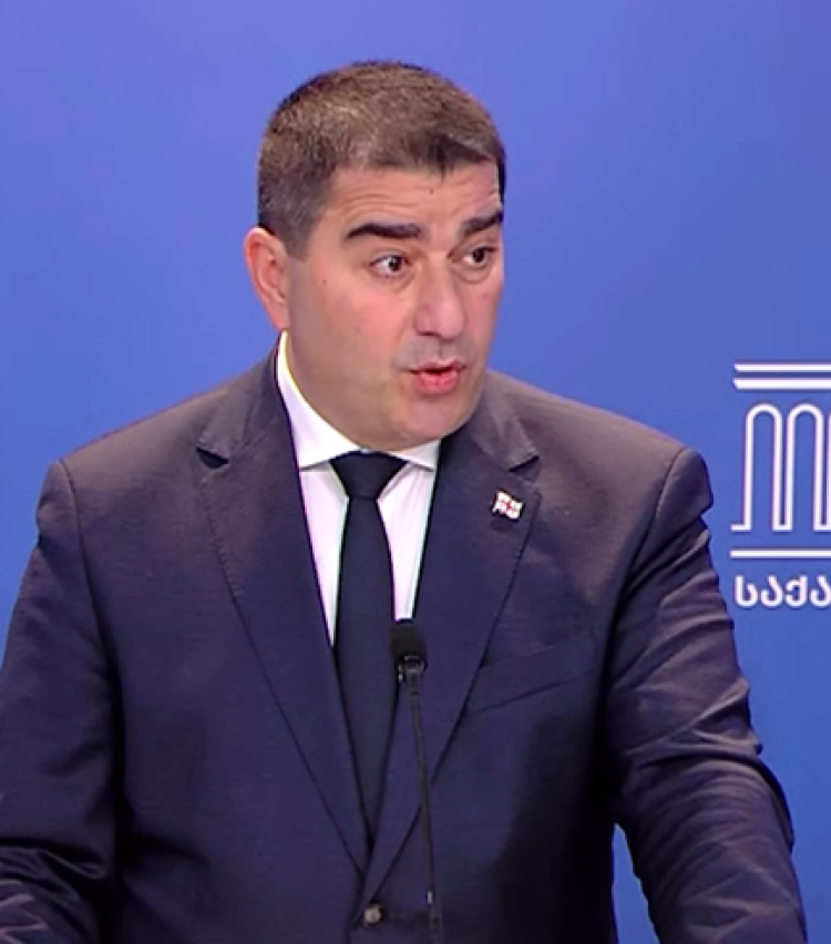 "ვნახე მე გერმანიის ელჩის ინტერვიუ, რომელიც კვლავ რაღაცა ჩვეული, რა გითხრათ, ახლა გონორით საუბრობს საქართველოზე, ქართველ ხალხზე"