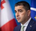პაპუაშვილი: გაცხადდა, რომ ამ დაჯგუფების მიზანი არის ადგილობრივი თვითმმართველობის არჩევნების ჩაშლა