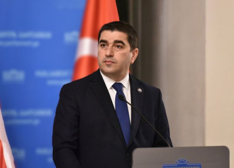 "რა საჭიროა ან რისი მაქნისია ის ბრიუსელი, თუ მას ევროპაში არ მივყავართ და ევროპასთან არ მივყავართ" - პაპუაშვილი