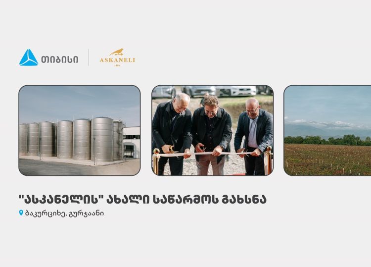 თიბისის მხარდაჭერით, ბაკურციხეში “ასკანელის” ქარხანა გაიხსნა