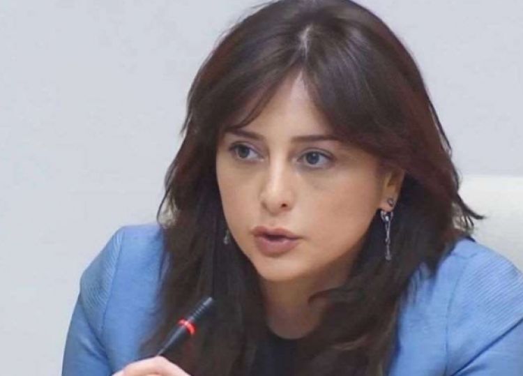 "თქვენ ეტყობა არ იცით, საჯარო სამსახურში რეპრესიები რა არის..." - ბითაძე