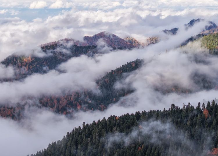 „საირმეს რეკრეაციული ფერმა“ ნიკა ლებანიძის ობიექტივში