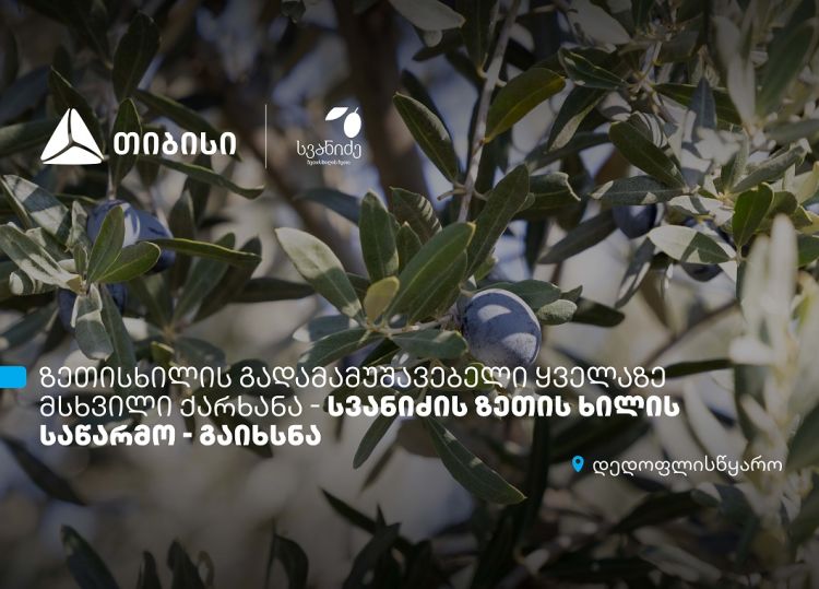 თიბისის მხარდაჭერით, დედოფლისწყაროში „სვანიძის ზეთისხილის“ საწარმო გაიხსნა