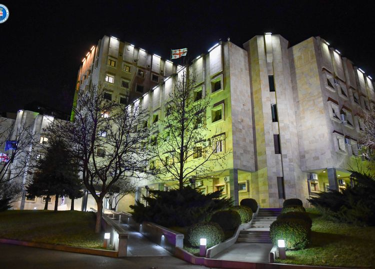 რა ბრალდება წარუდგინეს ღარიბაშვილს? - დეტალები