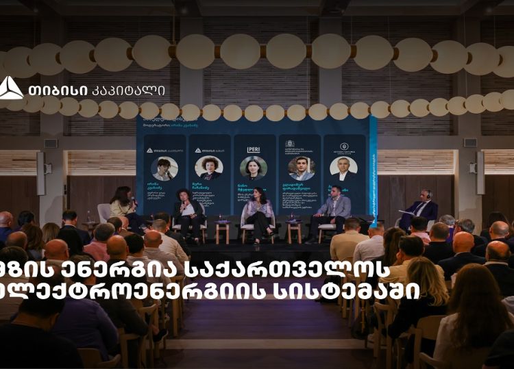 „მზის ენერგია საქართველოს ელექტროენერგიის სისტემაში" - თიბისი კაპიტალმა ახალი კვლევა წარადგინა
