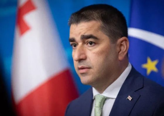 პაპუაშვილი: გაცხადდა, რომ ამ დაჯგუფების მიზანი არის ადგილობრივი თვითმმართველობის არჩევნების ჩაშლა