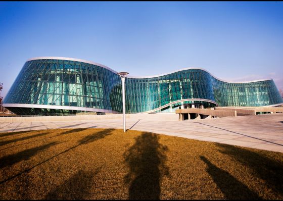 გამოძიება სსკ-ის 260-ე და 260-ე კვარტა მუხლებით მიმდინარეობს, რაც 20 წლამდე ან უვადო თავისუფლების აღკვეთას ითვალისწინებს - შსს