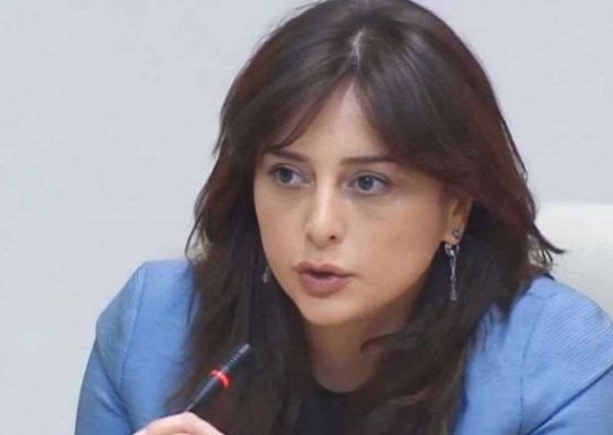 "თქვენ ეტყობა არ იცით, საჯარო სამსახურში რეპრესიები რა არის..." - ბითაძე