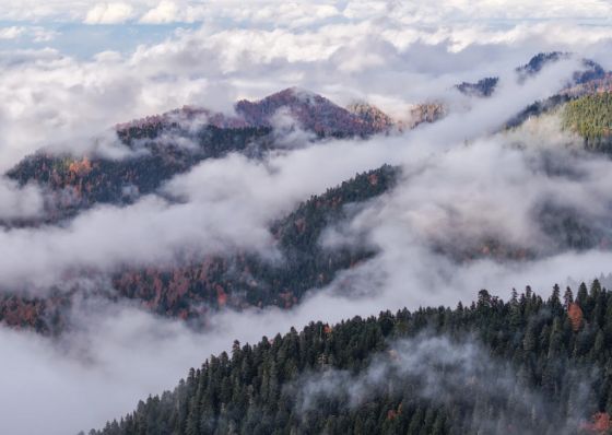 „საირმეს რეკრეაციული ფერმა“ ნიკა ლებანიძის ობიექტივში