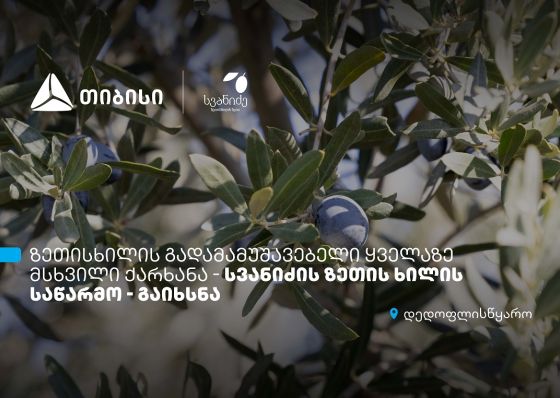 თიბისის მხარდაჭერით, დედოფლისწყაროში „სვანიძის ზეთისხილის“ საწარმო გაიხსნა