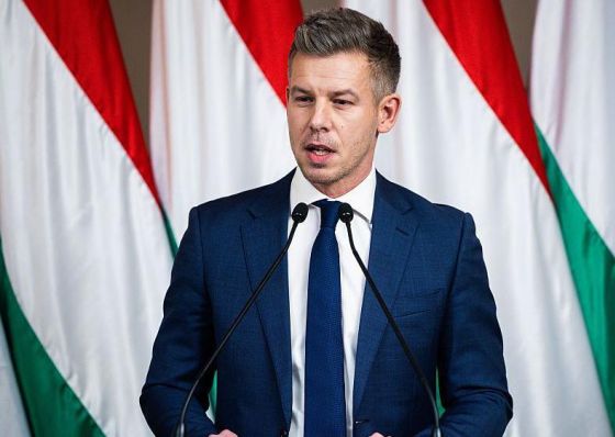 "არ ვაპირებ, რომ გავლენა მოვახდინო თქვენი ქვეყნის არჩევნებზე" - მადიარი საქართველოზე