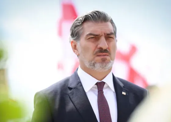 „დღეს უკვე ბევრი ქვეყანა ფიქრობს ანალოგიური კანონი" - ყაველაშვილი