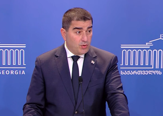 "ვნახე მე გერმანიის ელჩის ინტერვიუ, რომელიც კვლავ რაღაცა ჩვეული, რა გითხრათ, ახლა გონორით საუბრობს საქართველოზე, ქართველ ხალხზე"