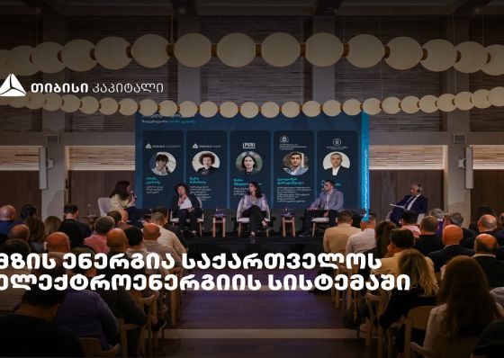 „მზის ენერგია საქართველოს ელექტროენერგიის სისტემაში" - თიბისი კაპიტალმა ახალი კვლევა წარადგინა