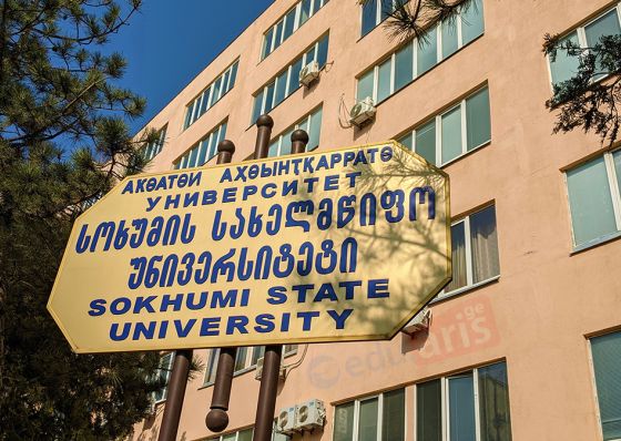 "რამდენიმე პროფესორი ჩავიდა რექტორთან, არ მიიღო - მივლინებაში ვარო! იქ იჯდა, წარმოგიდგენიათ რა მდგომარეობაა?.."