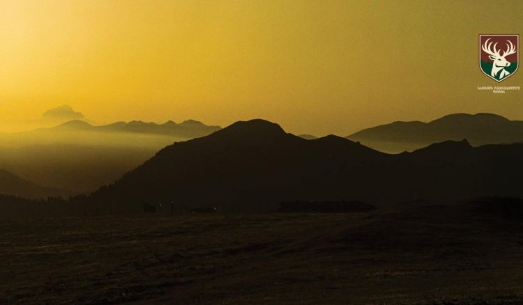 ფირის ფოტოგრაფია „საირმეს რეკრეაციულ ფერმაში“ - რეზი ყენიას ფოტოამბავი