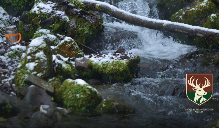 საირმეში დათევზიანების მეორე ეტაპი დასრულდა - მდინარე წაბლარასწყალში წითელწინწკლებიანი კალმახის ქვირითი გაუშვეს