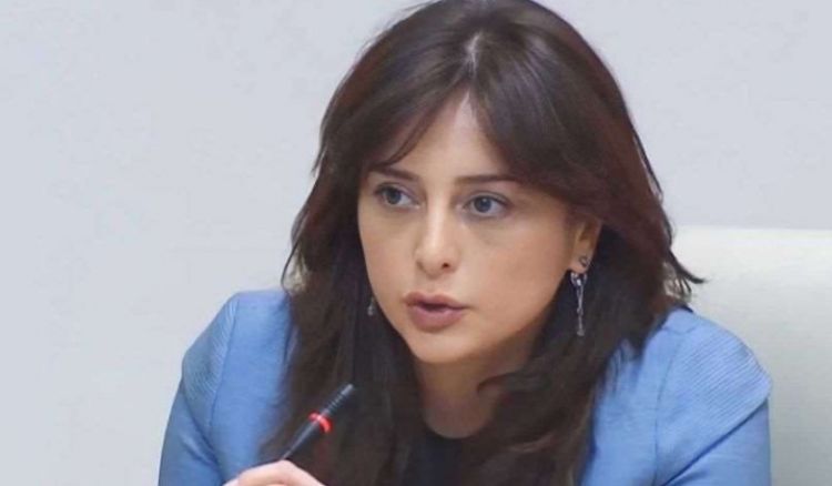 "თქვენ ეტყობა არ იცით, საჯარო სამსახურში რეპრესიები რა არის..." - ბითაძე