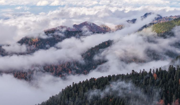 „საირმეს რეკრეაციული ფერმა“ ნიკა ლებანიძის ობიექტივში