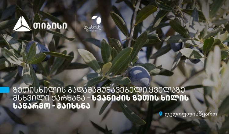 თიბისის მხარდაჭერით, დედოფლისწყაროში „სვანიძის ზეთისხილის“ საწარმო გაიხსნა