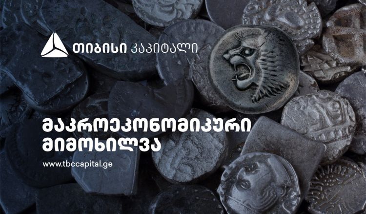 ზრდა ნორმალიზდება, სავალუტო ბაზარზე კვლავ სიჭარბეა