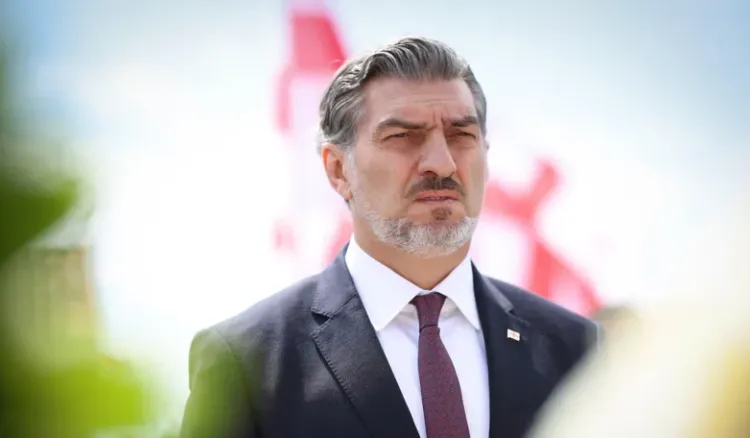 „დღეს უკვე ბევრი ქვეყანა ფიქრობს ანალოგიური კანონი" - ყაველაშვილი