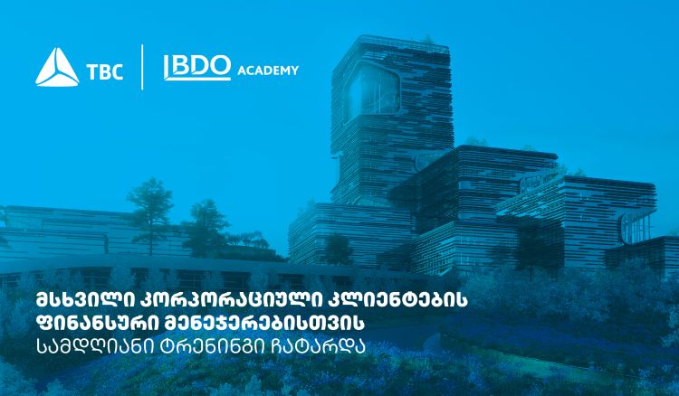 თიბისიმ პარტნიორი კომპანიების ფინანსური მენეჯერებისთვის ყოველწლიური ტრენინგები გამართა
