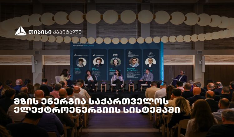 „მზის ენერგია საქართველოს ელექტროენერგიის სისტემაში" - თიბისი კაპიტალმა ახალი კვლევა წარადგინა