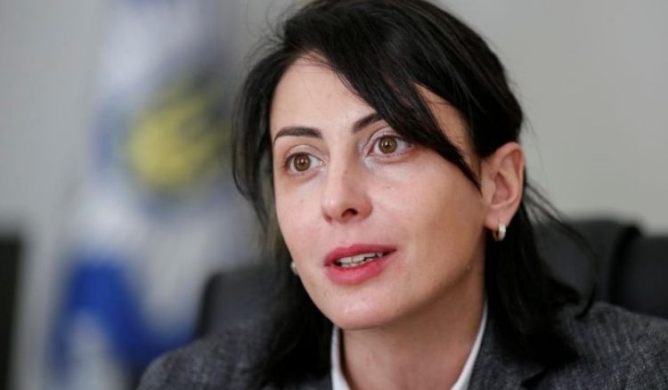 "თუ ჩახედავთ რუსულ არხებს - ალბათ გასაგებია, რამხელა მოვლენა მოხდა ჩვენს თვალწინ" - დეკანოიძე