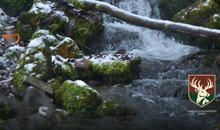 საირმეში დათევზიანების მეორე ეტაპი დასრულდა - მდინარე წაბლარასწყალში წითელწინწკლებიანი კალმახის ქვირითი გაუშვეს