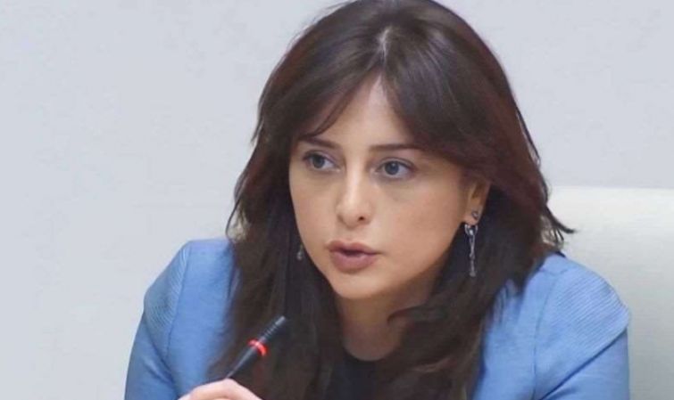 "თქვენ ეტყობა არ იცით, საჯარო სამსახურში რეპრესიები რა არის..." - ბითაძე