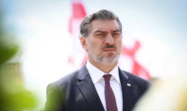 „დღეს უკვე ბევრი ქვეყანა ფიქრობს ანალოგიური კანონი" - ყაველაშვილი